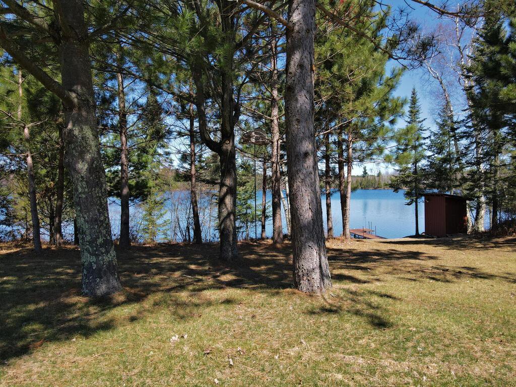51855 N Wasson Lake Road, Bigfork, MN, 56628 MLS 6522373 Edina Realty