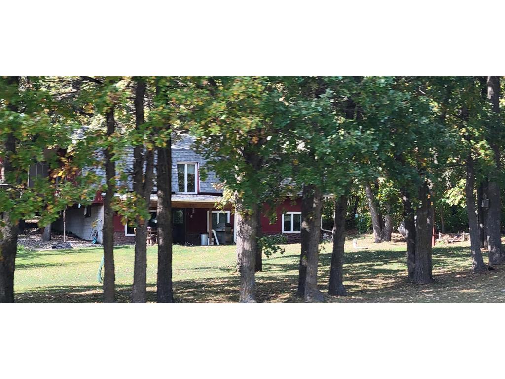 51933 County Highway 9 Pelican Rapids MN 56572 6441828 image1