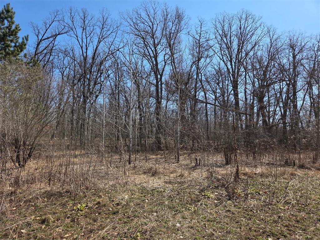 51948 River Road Rush City MN 55069 7056226 image11