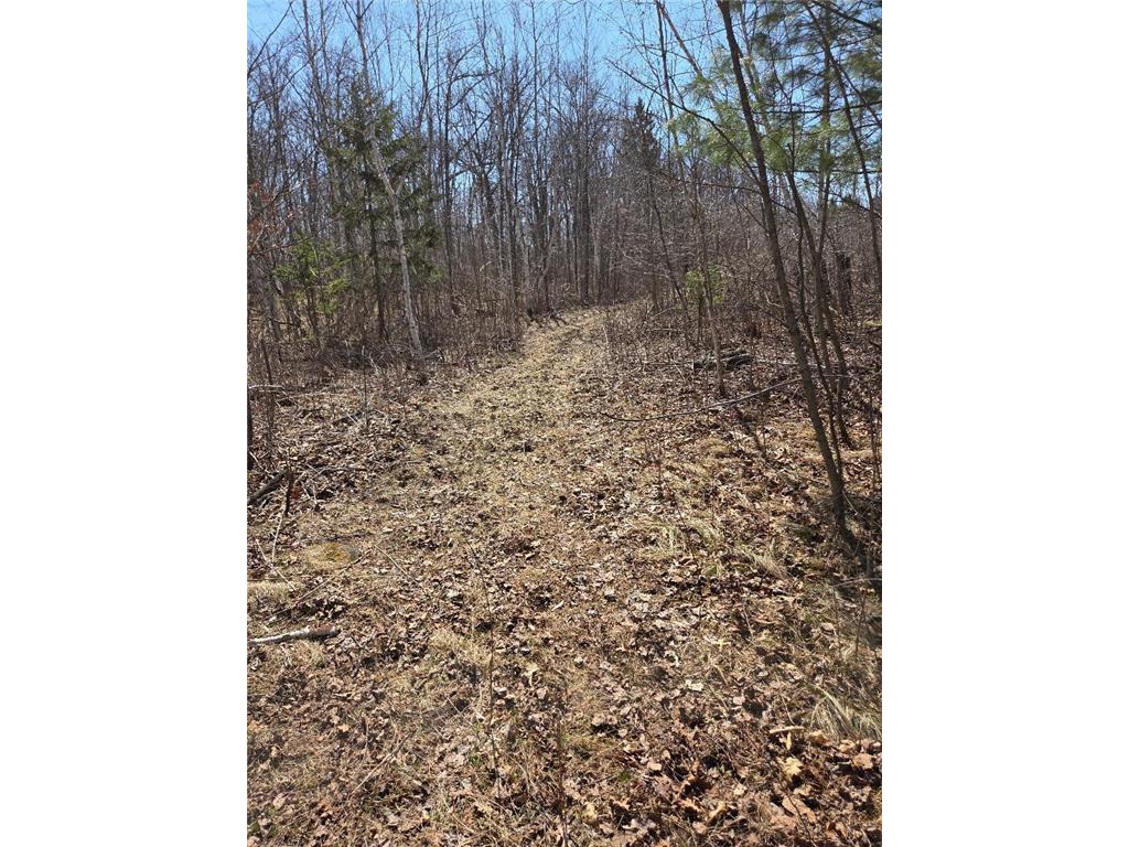 51948 River Road Rush City MN 55069 7056226 image15