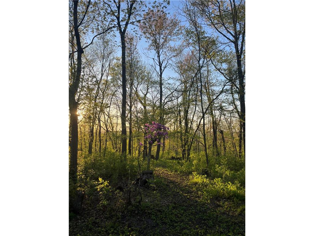 5197 124th Court E Bridgewater Twp MN 55057 7102273 image39