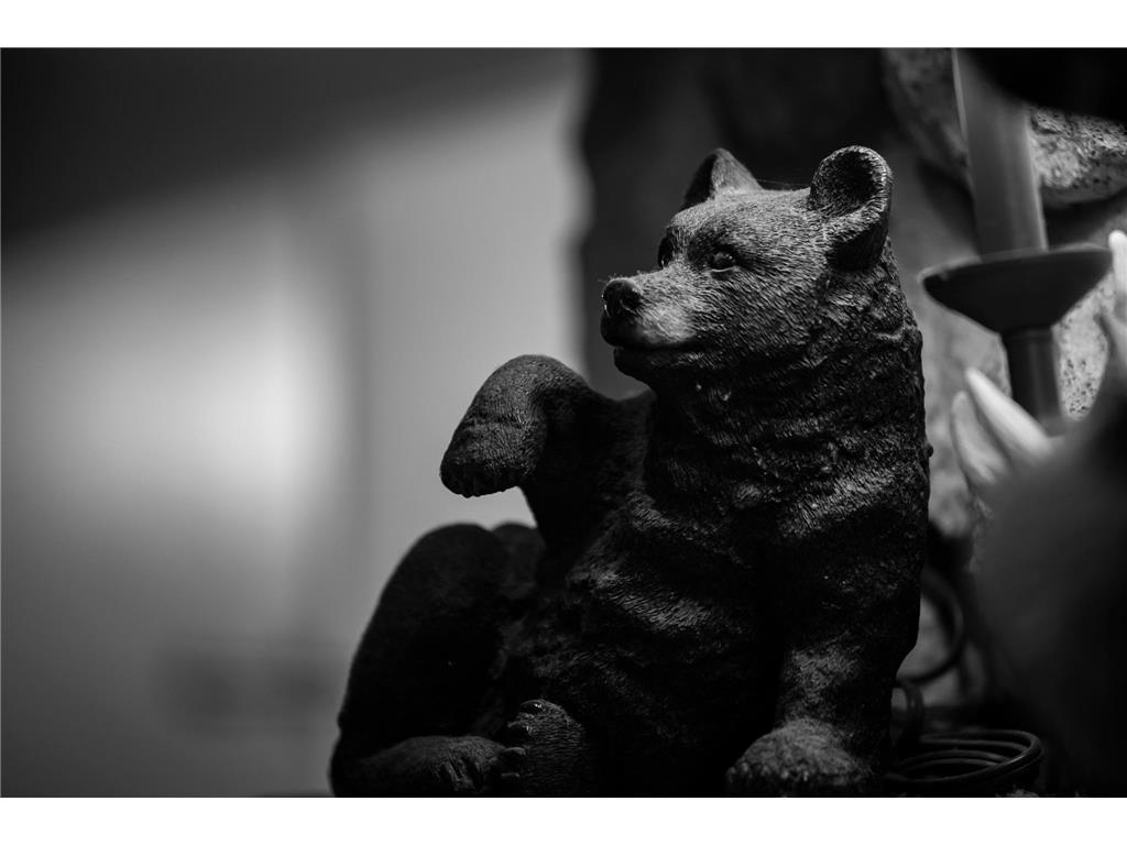 51997 State Hwy 46 Squaw Lake MN 56681 - Popple River 6822125 image103