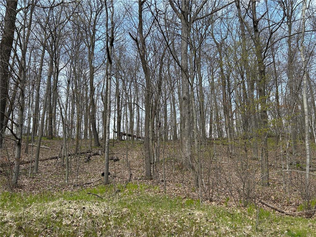 51XX Banyan Drive Garrison MN 56450 7072661 image1