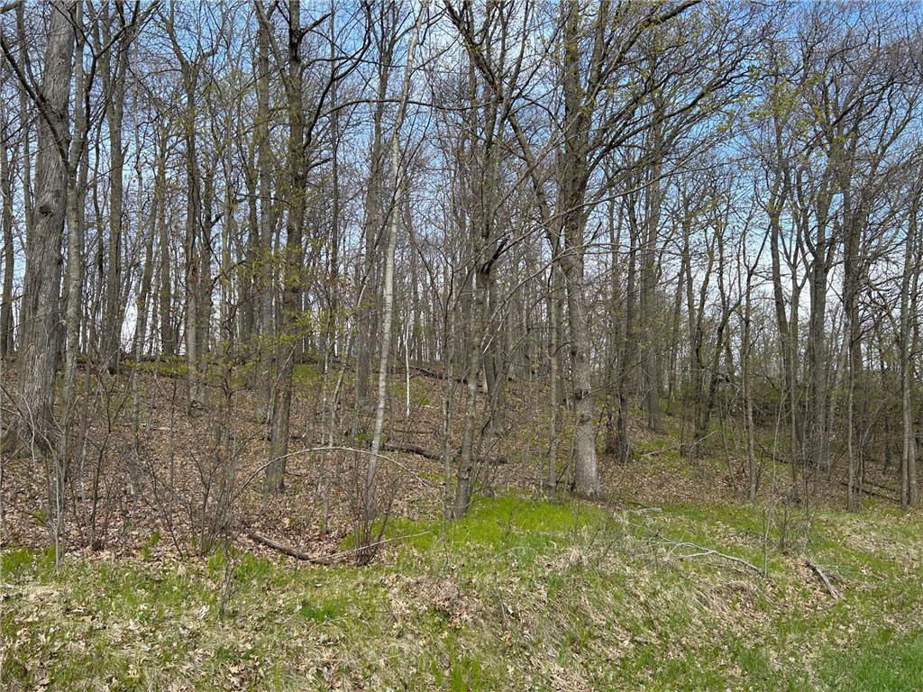 51XX Banyan Drive Garrison MN 56450 7072661 image2
