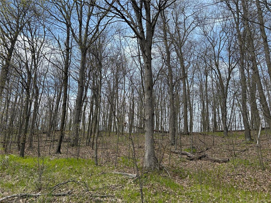 51XX Banyan Drive Garrison MN 56450 7072661 image4