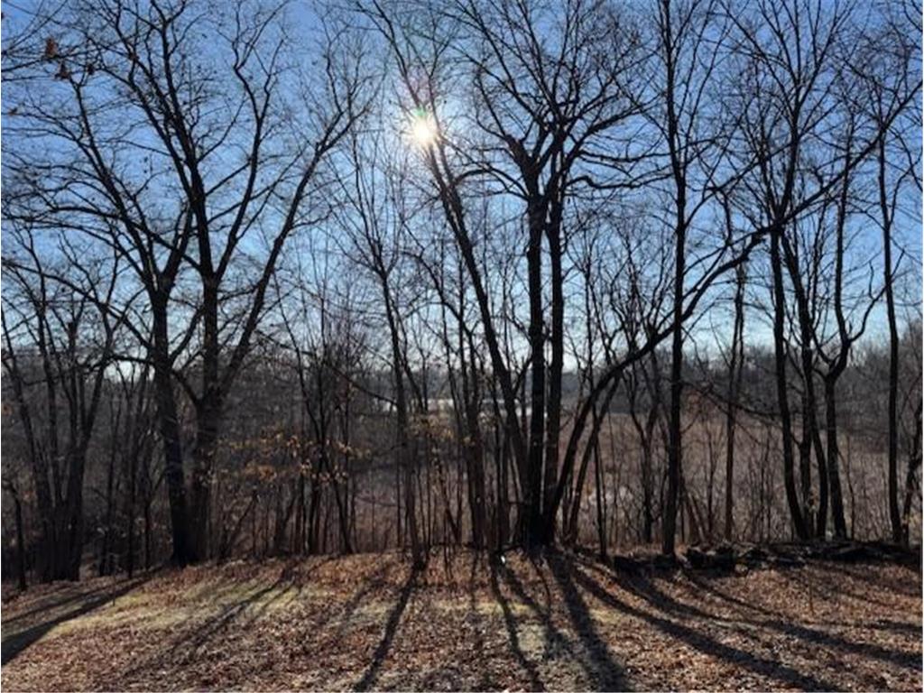 51XX Waterbury Road Mound MN 55364 - Lake Minnetonka 6772218 image37