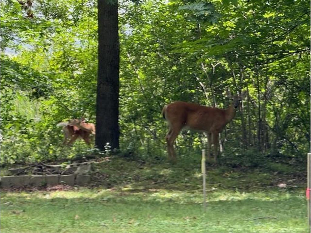 51XX Waterbury Road Mound MN 55364 - Lake Minnetonka 6772218 image39