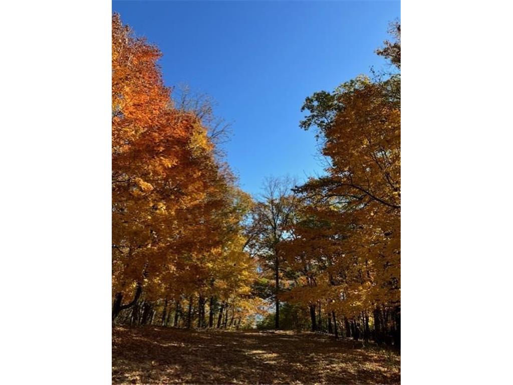 51XX Waterbury Road Mound MN 55364 - Lake Minnetonka 6772218 image43