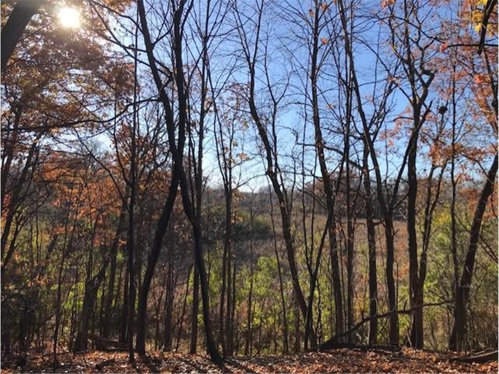 51XX Waterbury Road Mound MN 55364 - Lake Minnetonka 6772218 image5