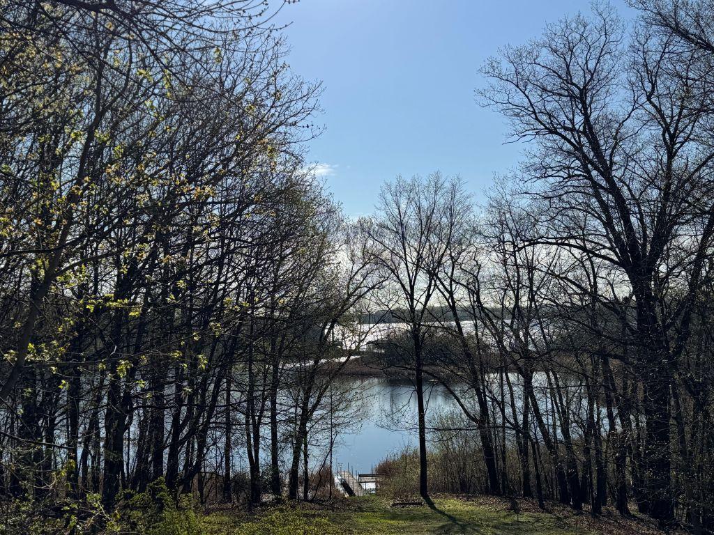 51XX Waterbury Road Mound MN 55364 - Lake Minnetonka 7020504 image4