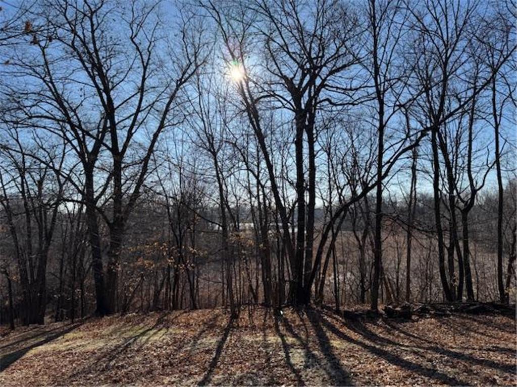 51XX Waterbury Road Mound MN 55364 - Lake Minnetonka 7044365 image29