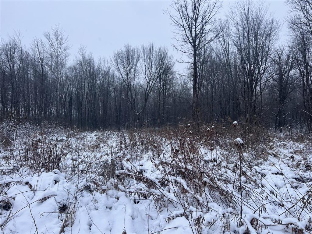 52 40th Street Clear Lake WI 54005 6826057 image9