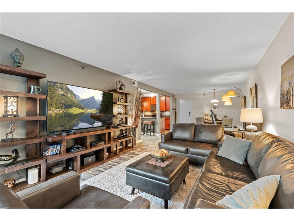 52 Groveland Terrace #108 Minneapolis MN 55403 7059874 image3