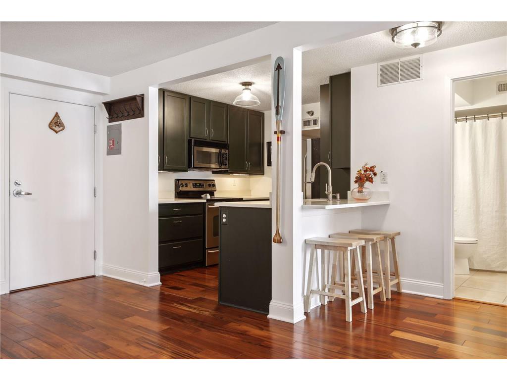 52 Groveland Terrace #A315 Minneapolis MN 55403 6331485 image1