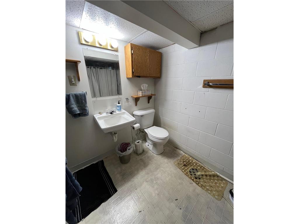 520 E 5th Street Litchfield MN 55355 6774512 image13