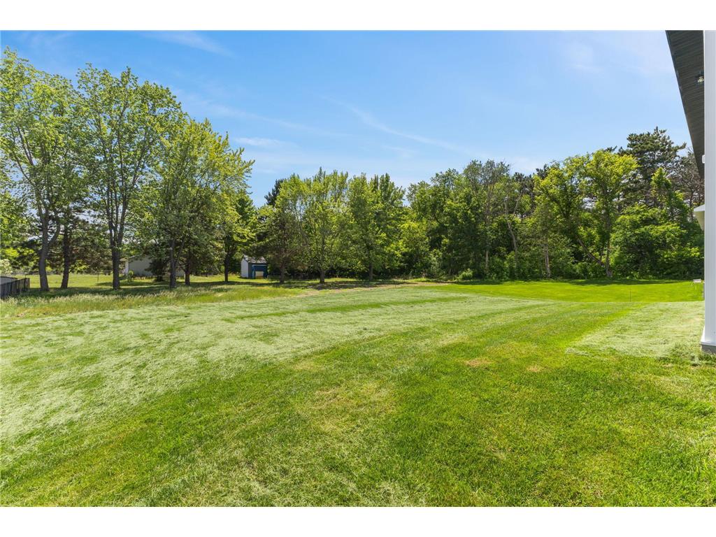 520 Lois Lane Lino Lakes MN 55014 7096041 image28