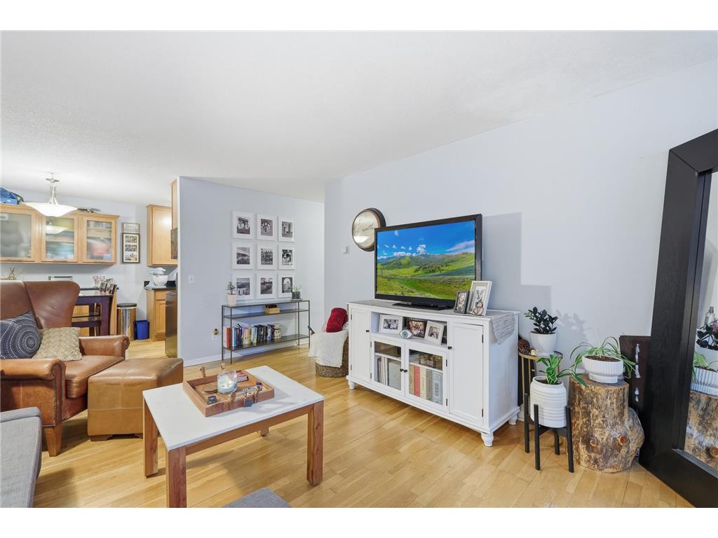 520 Ridgewood Avenue #107 Minneapolis MN 55403 6816250 image6