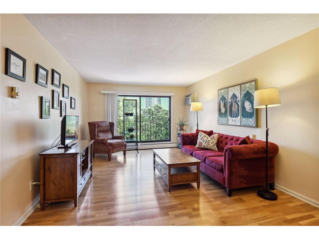 520 Ridgewood Avenue #202 Minneapolis MN 55403 6419895 image1