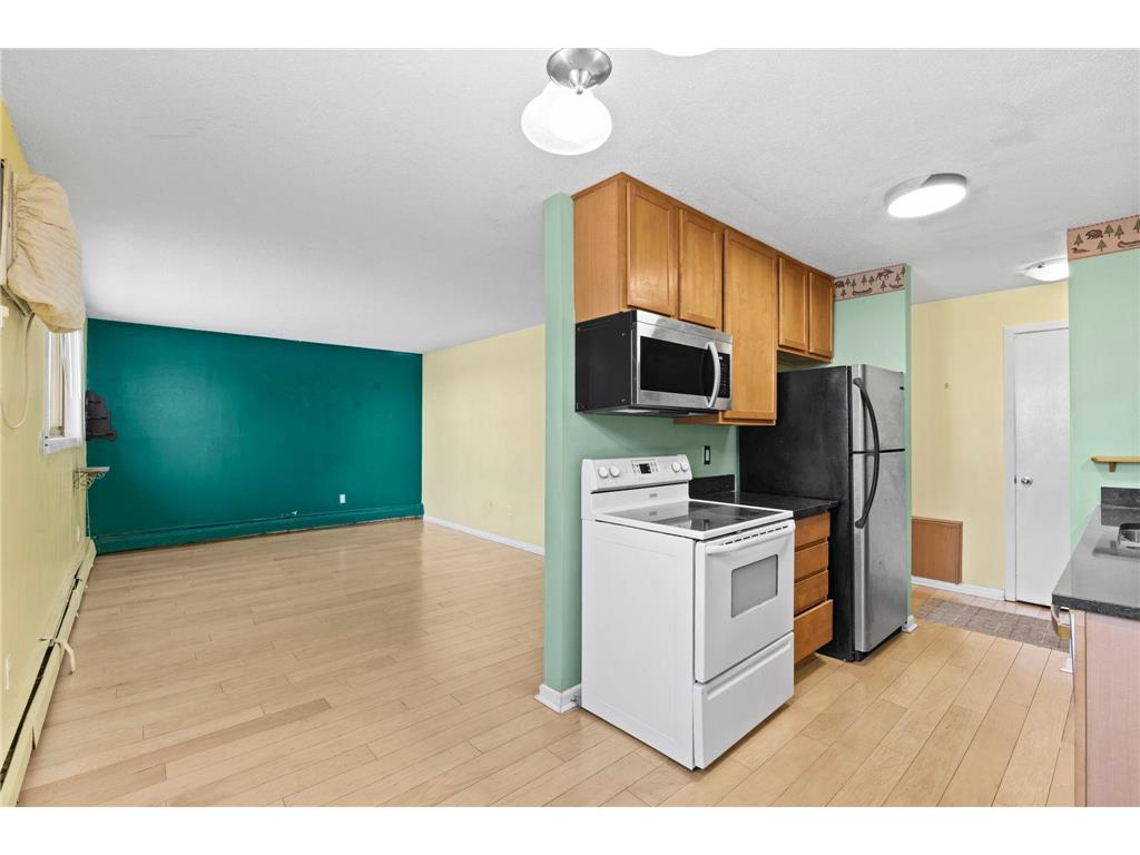 520 Ridgewood Avenue #4 Minneapolis MN 55403 7044161 image9