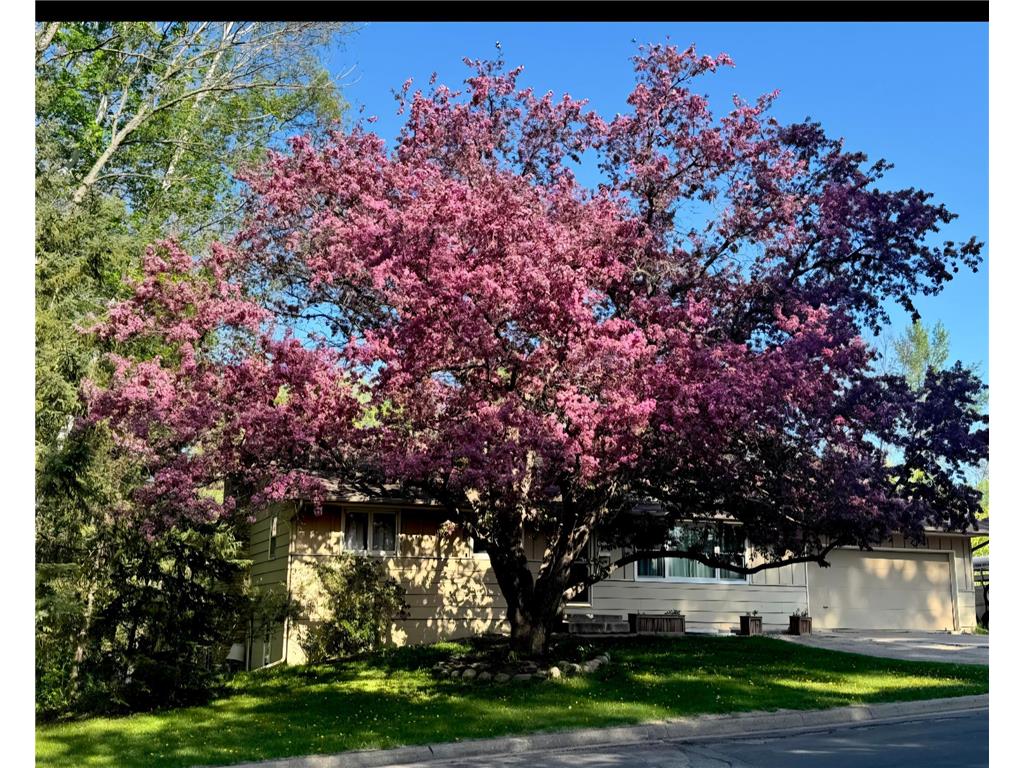 520 SW 5th Avenue Grand Rapids MN 55744 7081082 image56
