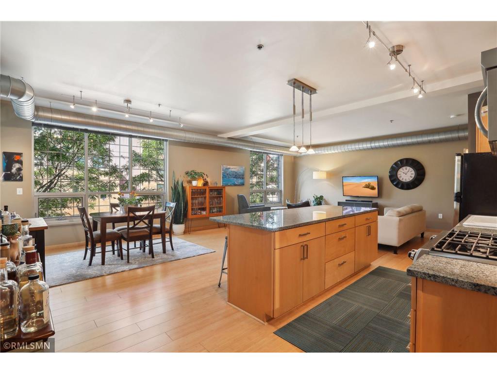 521 2nd Street SE #204 Minneapolis MN 55414 6573205 image1