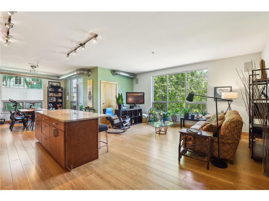 521 2nd Street SE #301 Minneapolis MN 55414 6550237 image1
