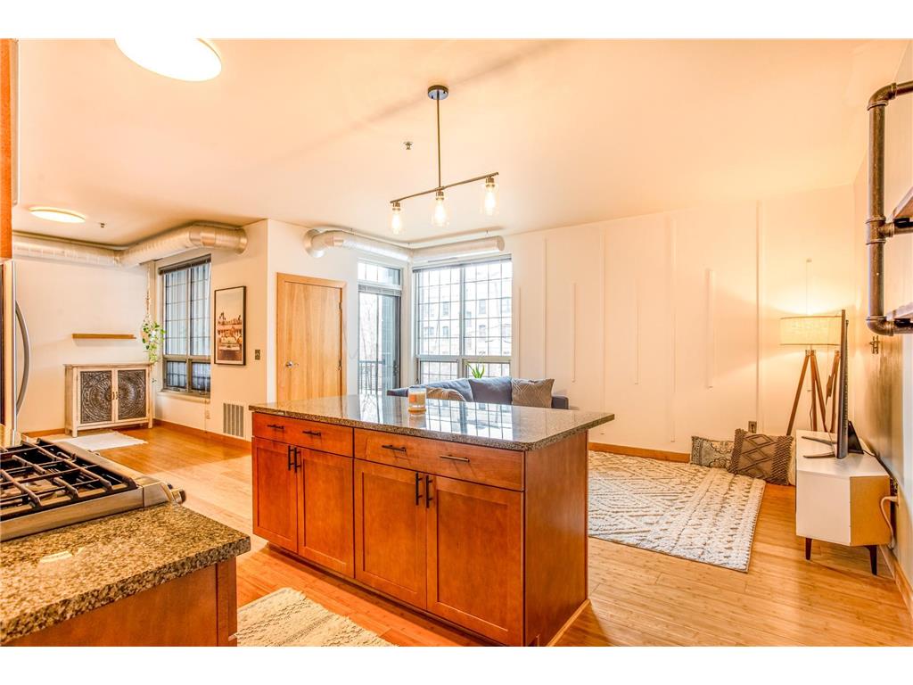 521 2nd Street SE #307 Minneapolis MN 55414 7030099 image7