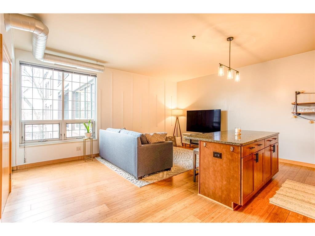 521 2nd Street SE #307 Minneapolis MN 55414 7030099 image8