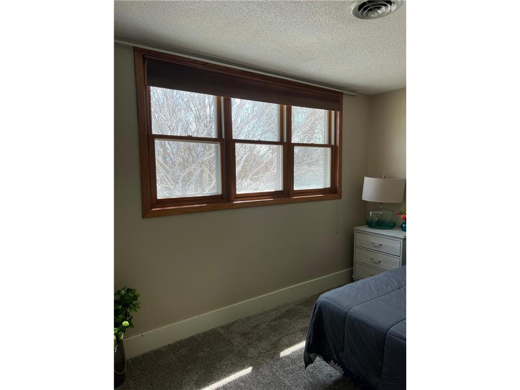 521 9th Avenue Madison MN 56256 7060386 image33