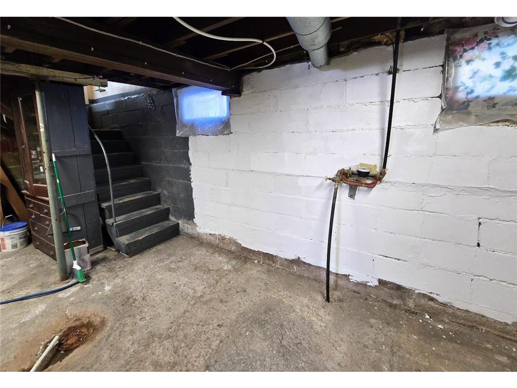 521 Washington Avenue Holland MN 56139 7002022 image41