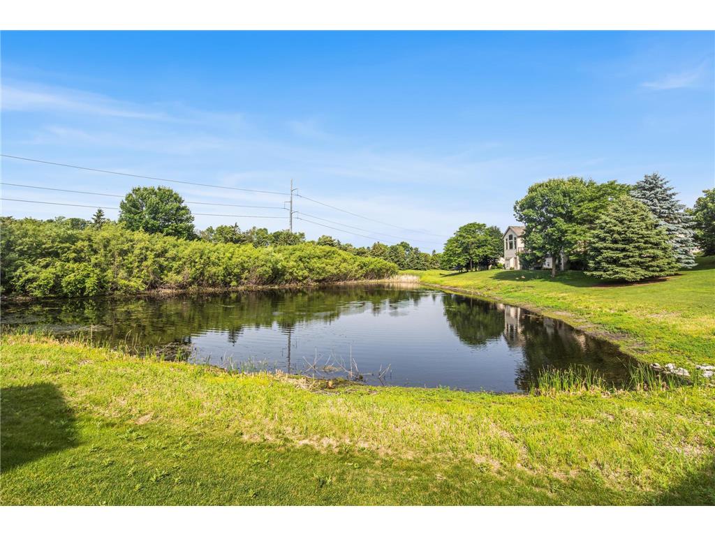 5217 107th Avenue N Brooklyn Park MN 55443 7098771 image40