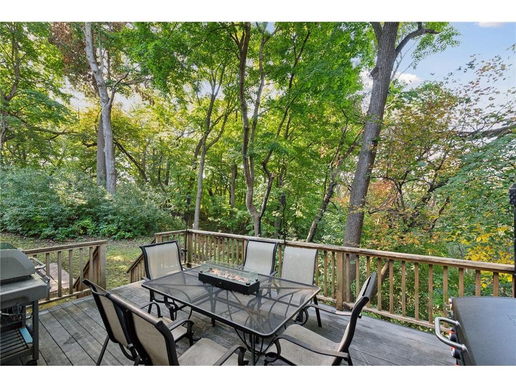 522 Shadyway Road Wayzata MN 55391 7069770 image33