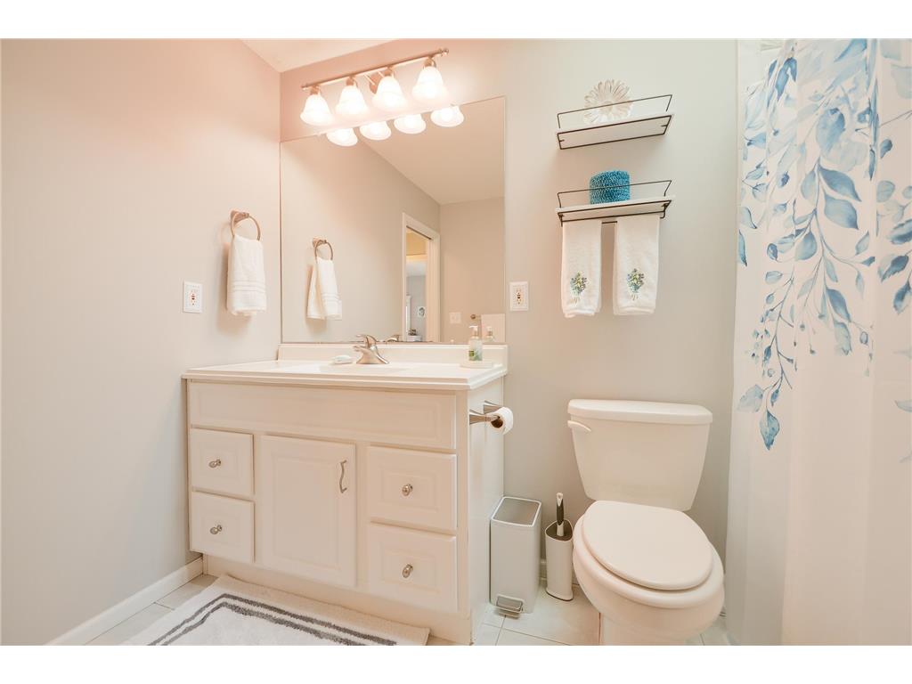 5220 100th Avenue Palmer Twp MN 55319 - Briggs 7055544 image49