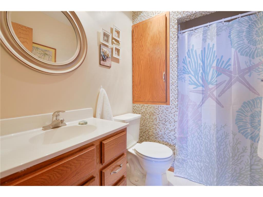 5220 100th Avenue Palmer Twp MN 55319 - Briggs 7055544 image81