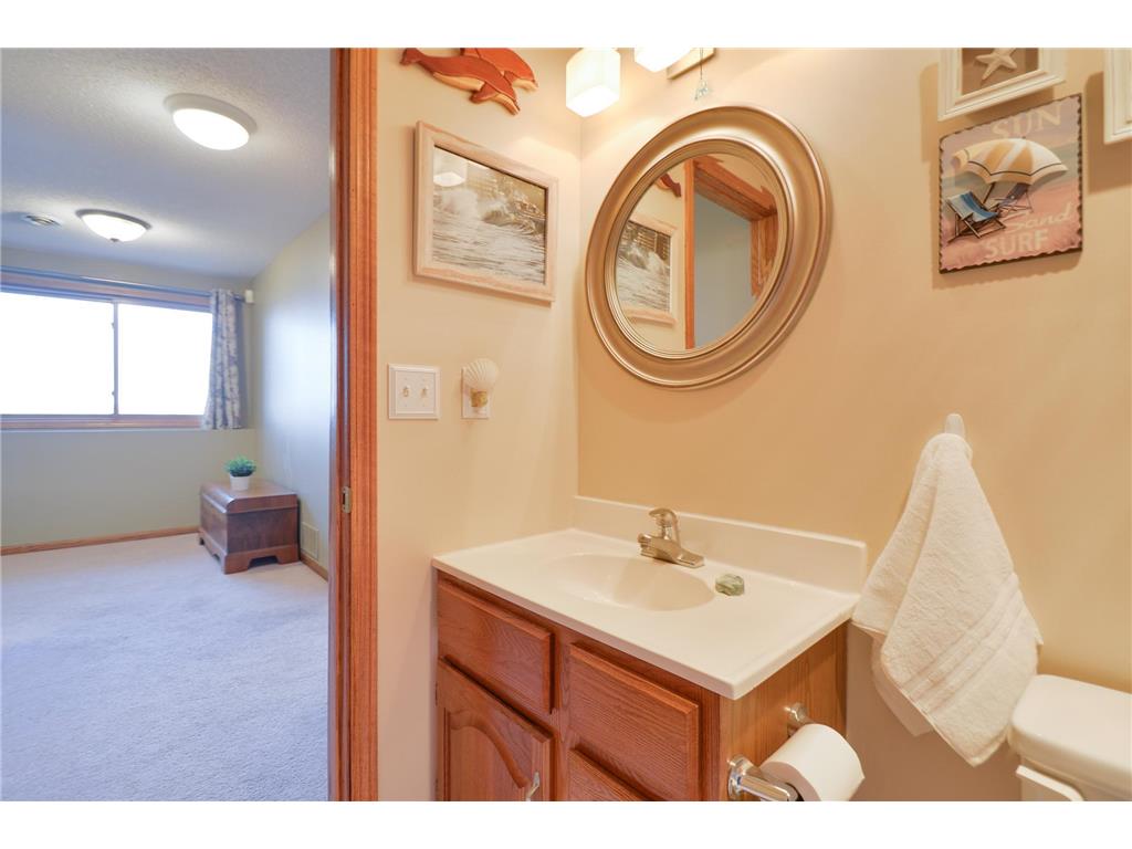 5220 100th Avenue Palmer Twp MN 55319 - Briggs 7055544 image82