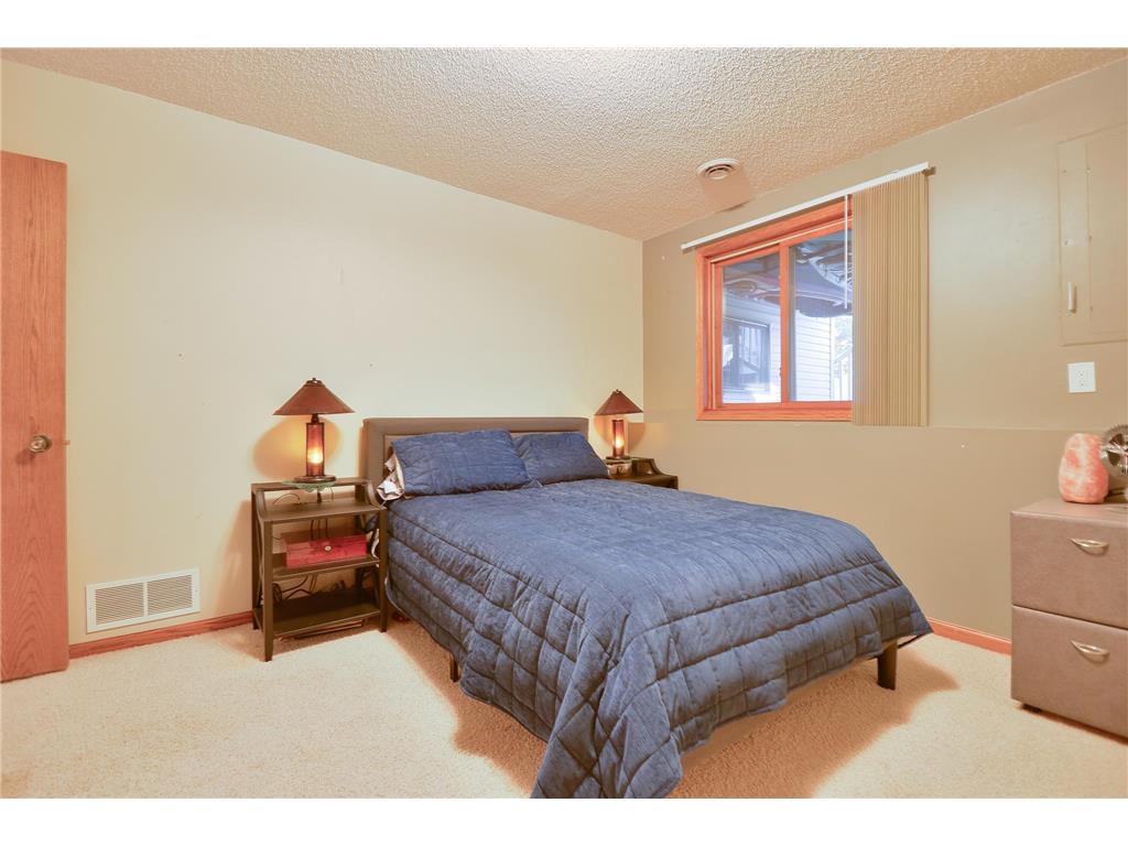 5220 100th Avenue Palmer Twp MN 55319 - Briggs 7055544 image83