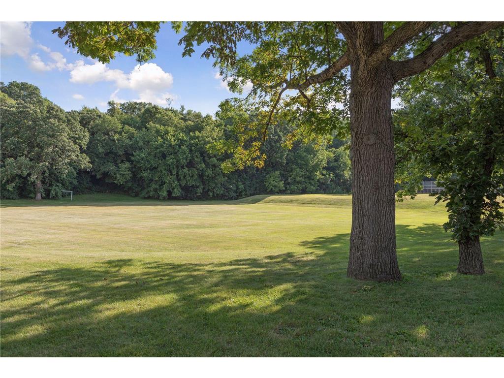5220 Tifton Drive Edina MN 55439 7019634 image43