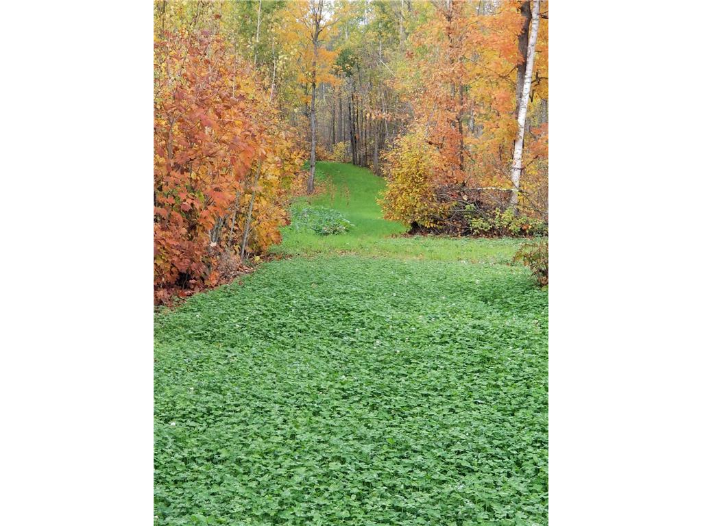 52229 Etters Road Lake Jessie Twp MN 56680 6331793 image1