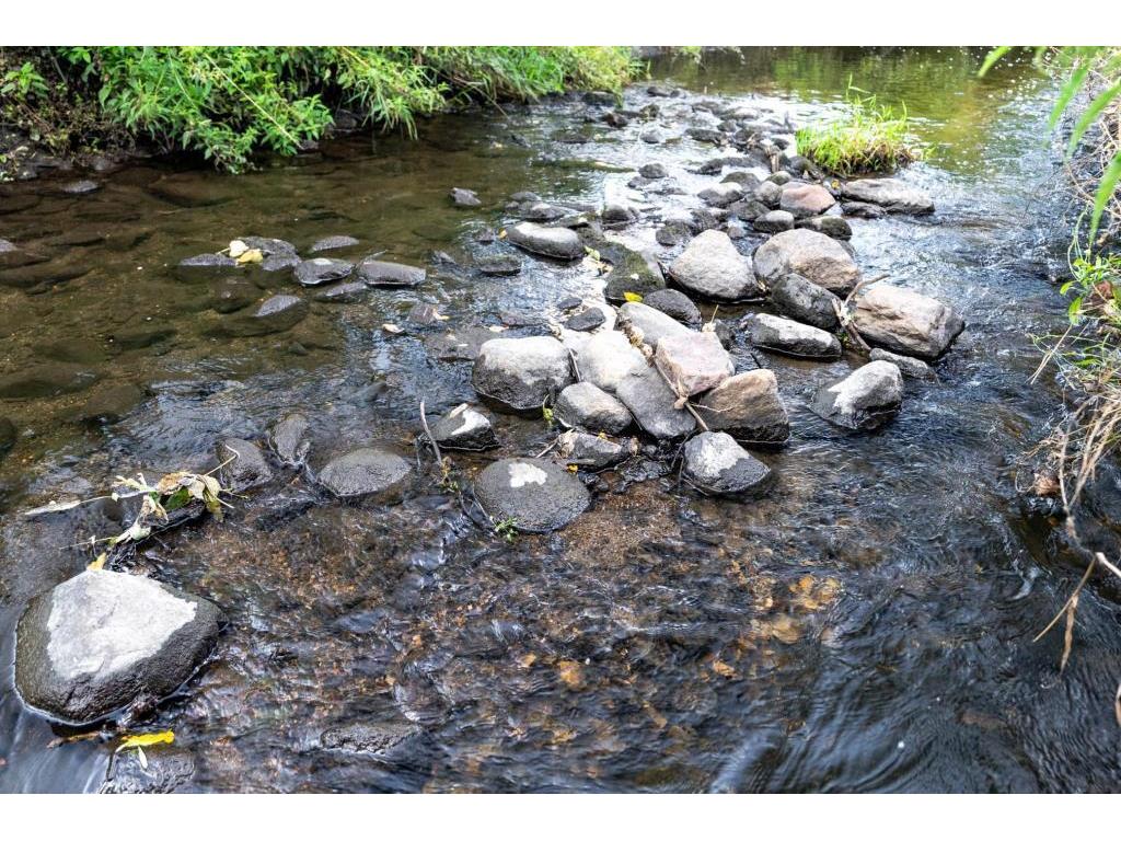 5224 W 70th Street Edina MN 55439 - Nine Mile Creek 7009448 image28