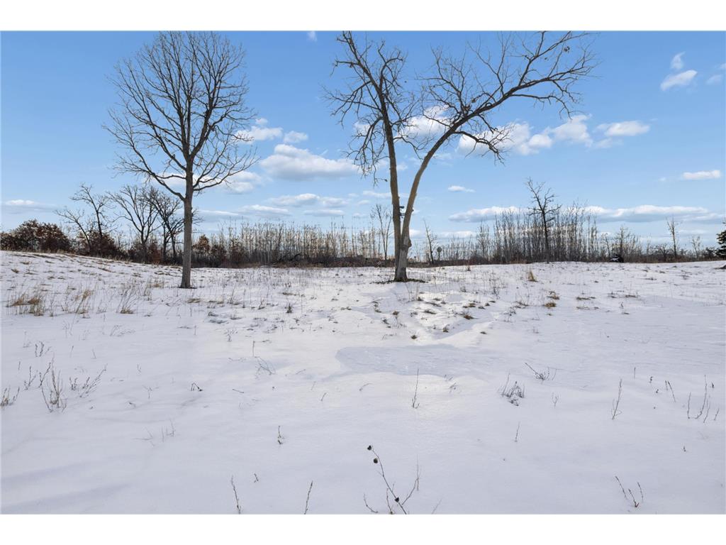 5225 389th Trail North Branch MN 55056 7018050 image10