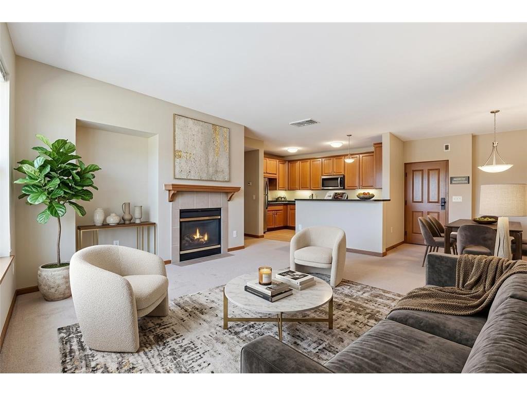 5225 Grandview Square #313 Edina MN 55436 7025348 image4