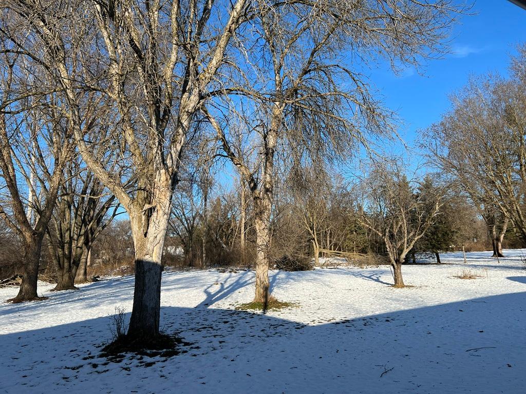 5225 Logan Street SE Marion Twp MN 55904 7004936 image21