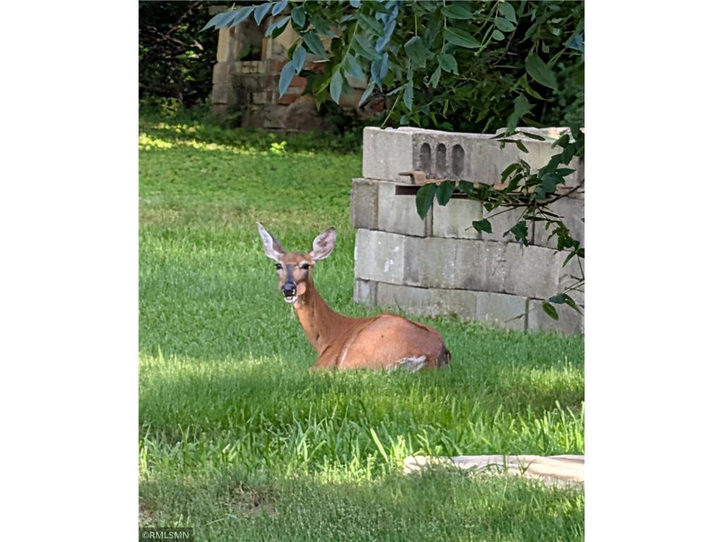 523 Brooks Street Mankato MN 56001 7107992 image9