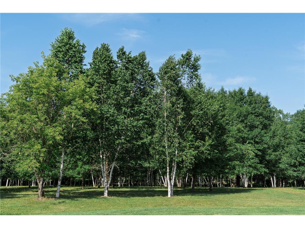 5235 313th Avenue NW Spencer Brook Twp MN 55008 - Rum River 7020064 image104