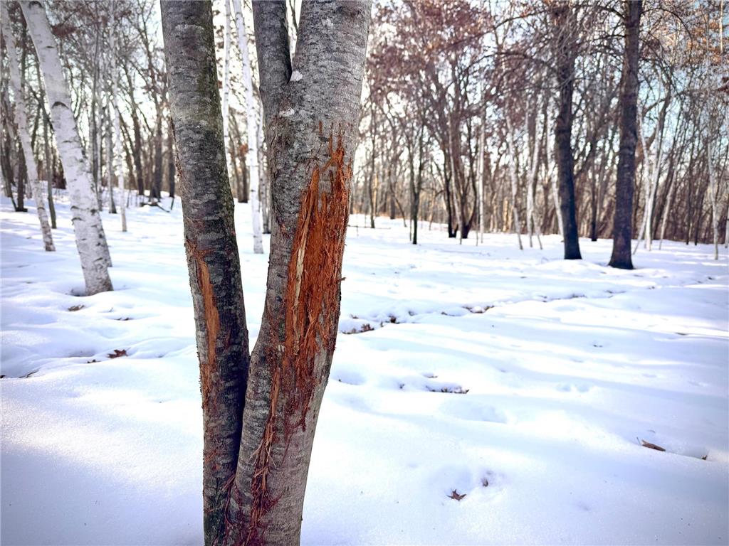 5235 313th Avenue NW Spencer Brook Twp MN 55008 - Rum River 7020064 image65