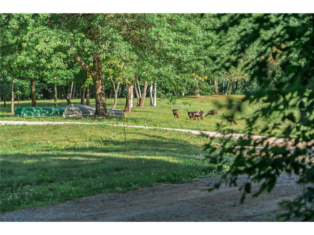 5235 313th Avenue NW Spencer Brook Twp MN 55008 - Rum River 7020064 image88