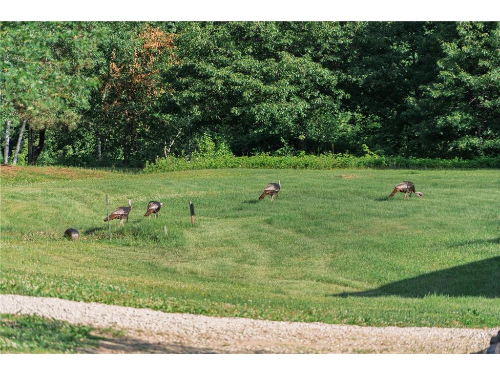 5235 313th Avenue NW Spencer Brook Twp MN 55008 - Rum River 7020064 image89