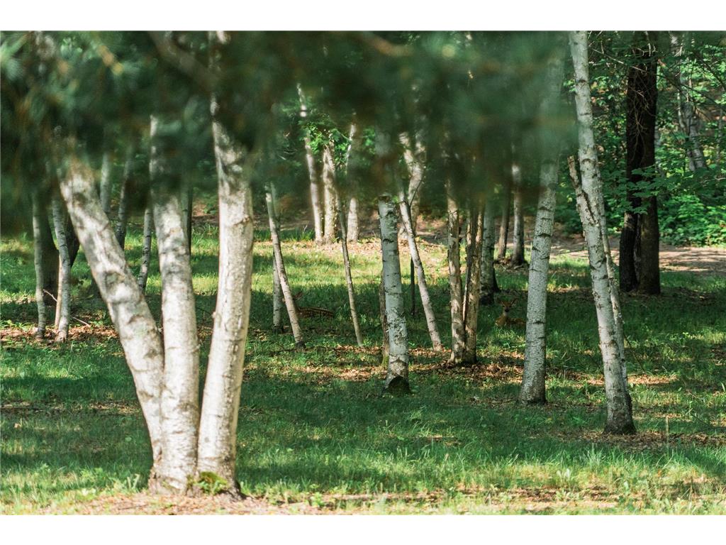 5235 313th Avenue NW Spencer Brook Twp MN 55008 - Rum River 7020064 image97