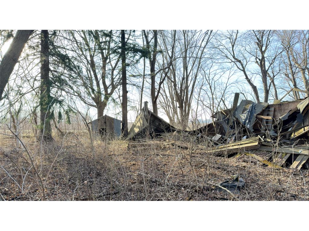 52377 120th Avenue Ellington Twp MN 55985 7053488 image3