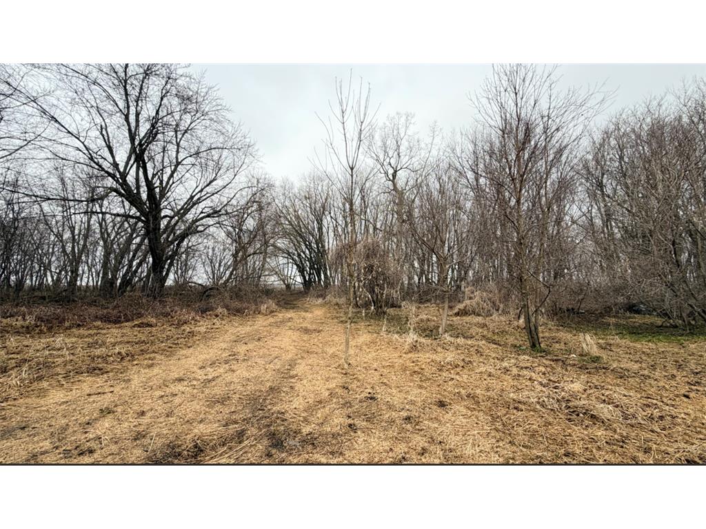 52377 120th Avenue Ellington Twp MN 55985 7053488 image7